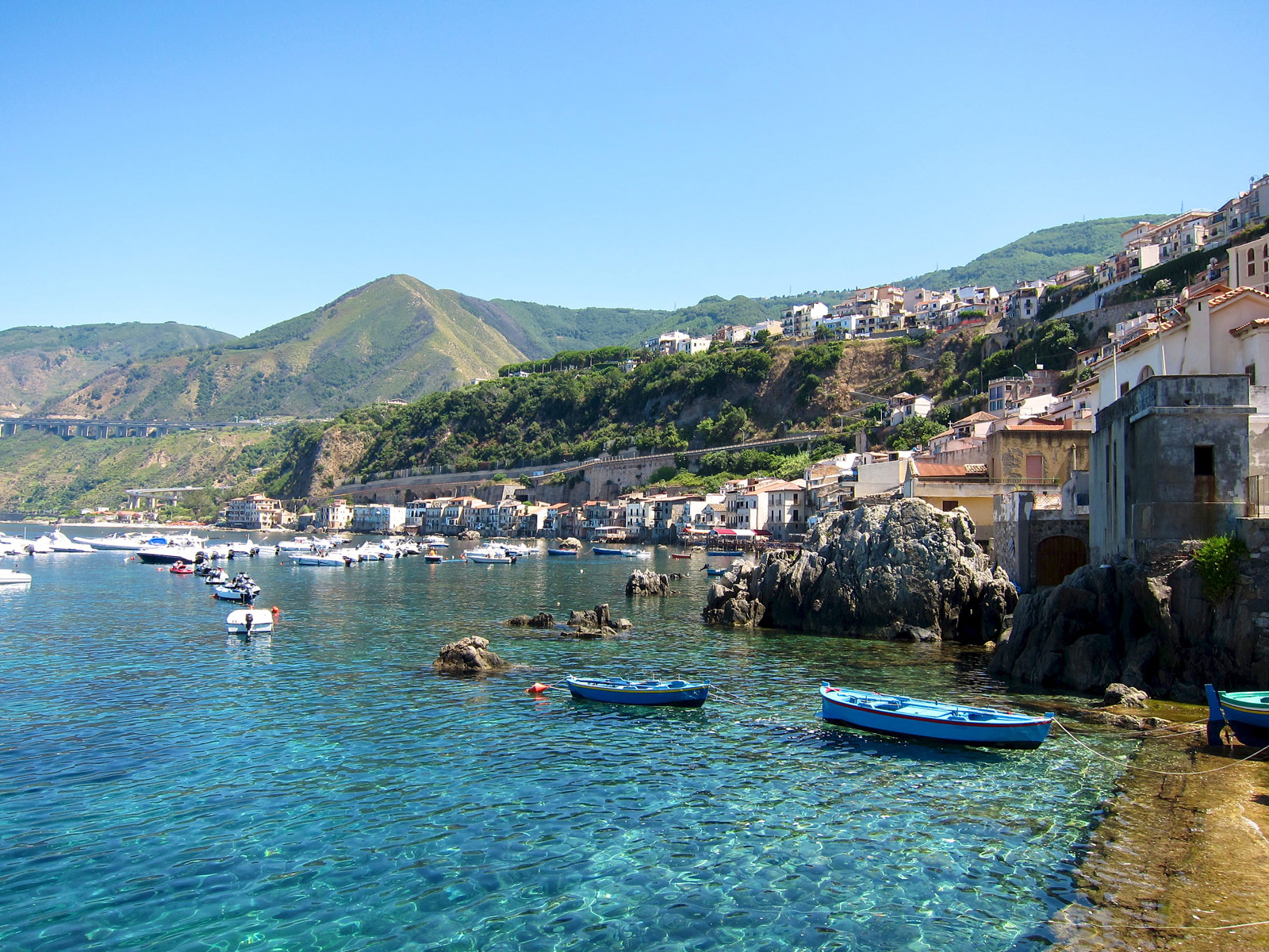 Scilla